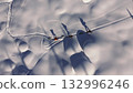 Winter expedition: explorers pulling sleds across snowy landscape 132996246