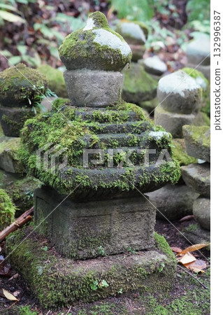 鎌倉、北向觀音、天台宗總本山淨樂寺以及信州別所溫泉週邊地區的景色 鎌倉、北向觀音、天台宗總本山淨樂寺以及信州別所溫泉週邊地區的景色 132996387
