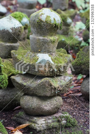 鎌倉、北向觀音、天台宗總本山淨樂寺以及信州別所溫泉週邊地區的景色 鎌倉、北向觀音、天台宗總本山淨樂寺以及信州別所溫泉週邊地區的景色 132996388