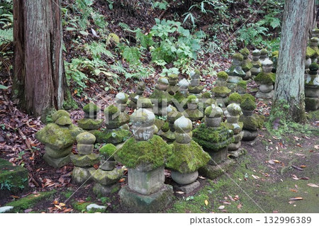 鎌倉、北向觀音、天台宗總本山淨樂寺以及信州別所溫泉週邊地區的景色 鎌倉、北向觀音、天台宗總本山淨樂寺以及信州別所溫泉週邊地區的景色 132996389