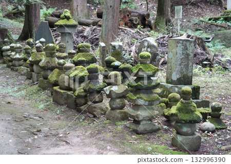 鎌倉、北向觀音、天台宗總本山淨樂寺以及信州別所溫泉週邊地區的景色 132996390