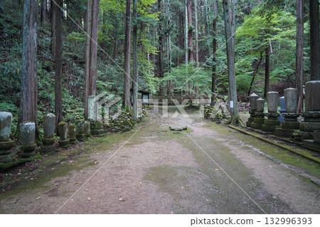 鎌倉、北向觀音、天台宗總本山淨樂寺以及信州別所溫泉週邊地區的景色 132996393