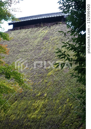 鎌倉、北向觀音、天台宗總本山淨樂寺以及信州別所溫泉週邊地區的景色 132996400