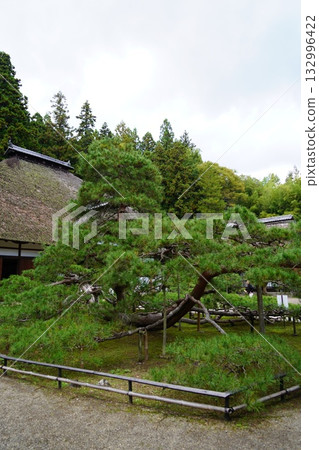 鎌倉、北向觀音、天台宗總本山淨樂寺以及信州別所溫泉週邊地區的景色 鎌倉、北向觀音、天台宗總本山淨樂寺以及信州別所溫泉週邊地區的景色 132996422