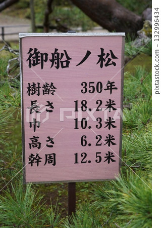鎌倉、北向觀音、天台宗總本山淨樂寺以及信州別所溫泉週邊地區的景色 132996434