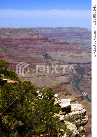Grand Canyon Arizona Grand Canyon Arizona 132996646