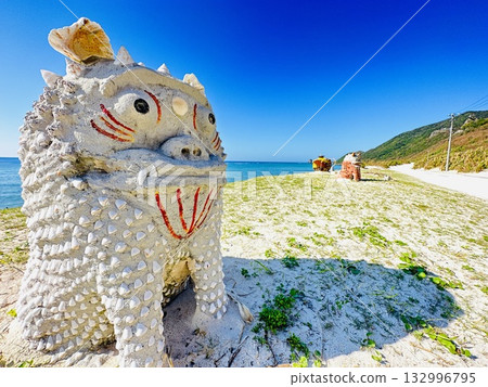 海螺石竹立於沙灘之上，仰望熱帶天空。 132996795