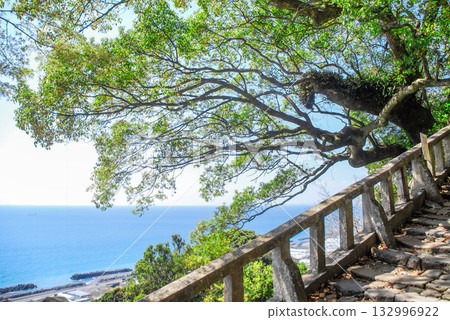 從久野山東照宮的石階上，可以欣賞到駿河灣蔚藍的地平線，這是通往神社的古老道路，也是大海的所在地。 132996922