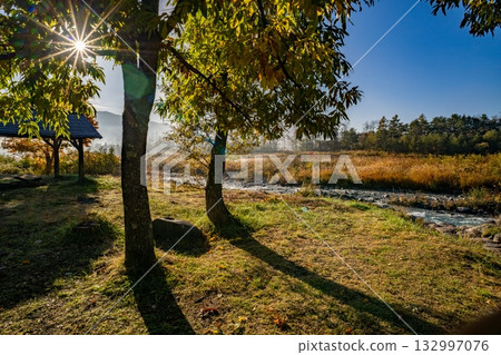 Hakuba mountains dyed in autumn leaves 132997076