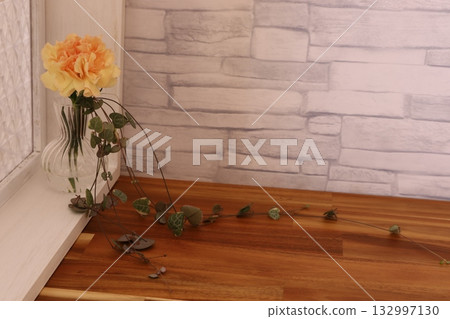 Orange carnation Orange carnation 132997130