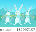 Rabbit Orchestra 132997157