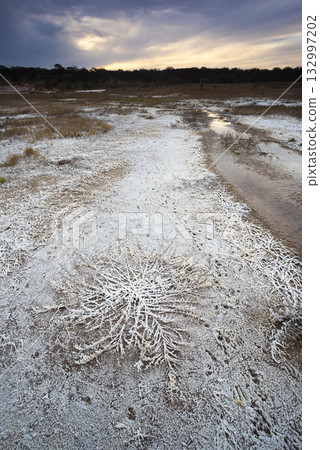 Saltpeter on the floor of a lagoon in a semi desert environment, La Pampa province, Patagonia, Argentina. Saltpeter on the floor of a lagoon in a semi desert environment, La Pampa province, Patagonia, Argentina. 132997202