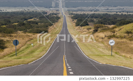 Flowered field in the Pampas Plain, La Pampa Province, Patagonia, Argentina. Flowered field in the Pampas Plain, La Pampa Province, Patagonia, Argentina. 132997225