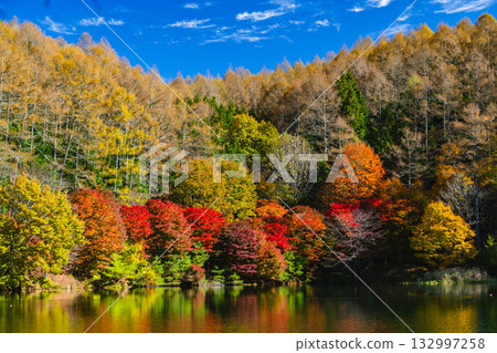 Autumn leaves at Lake Izumi Autumn leaves at Lake Izumi 132997258