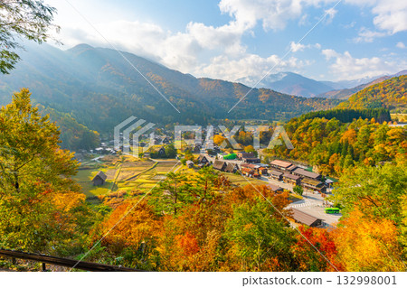 Shirakawago autumn leaves 132998001