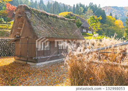 Shirakawago autumn leaves 132998053
