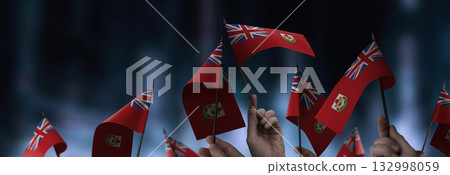 Bermuda flags in their hands on a blurred urban background 132998059
