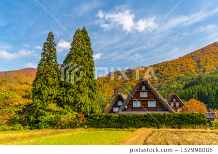 Shirakawa-go Autumn leaves and spectacular autumn scenery Shirakawa-go Autumn leaves and spectacular autumn scenery 132998086