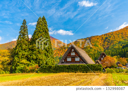 白川鄉的秋葉與壯麗的秋景 132998087