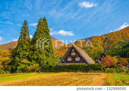 Shirakawa-go Autumn leaves and spectacular autumn scenery Shirakawa-go Autumn leaves and spectacular autumn scenery 132998088