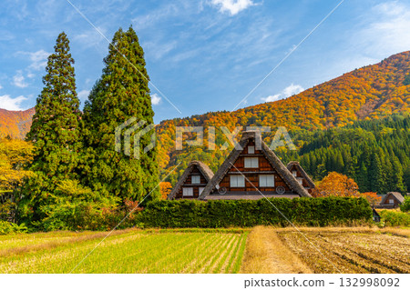 Shirakawa-go Autumn leaves and spectacular autumn scenery Shirakawa-go Autumn leaves and spectacular autumn scenery 132998092