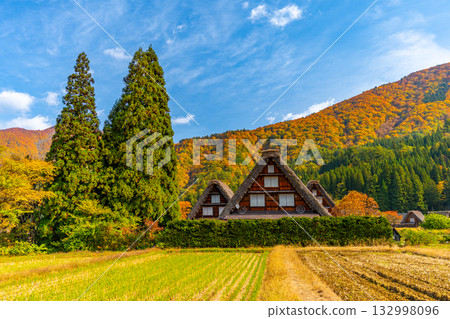 Shirakawa-go Autumn leaves and spectacular autumn scenery Shirakawa-go Autumn leaves and spectacular autumn scenery 132998096