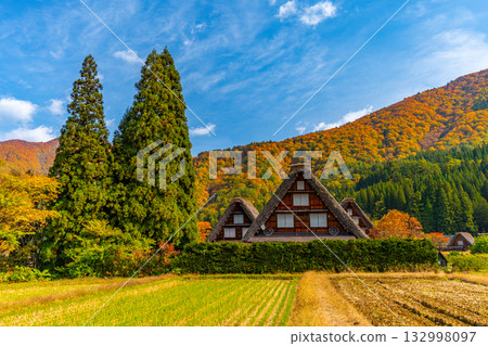 Shirakawa-go Autumn leaves and spectacular autumn scenery Shirakawa-go Autumn leaves and spectacular autumn scenery 132998097