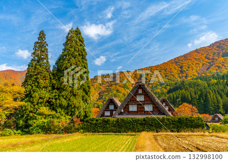 白川鄉的秋葉與壯麗的秋景 132998100