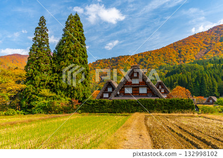 白川鄉的秋葉與壯麗的秋景 132998102