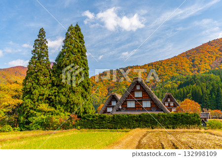 Shirakawa-go Autumn leaves and spectacular autumn scenery Shirakawa-go Autumn leaves and spectacular autumn scenery 132998109