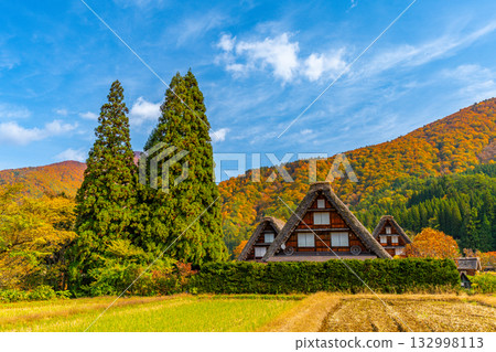 白川鄉的秋葉與壯麗的秋景 白川鄉的秋葉與壯麗的秋景 132998113