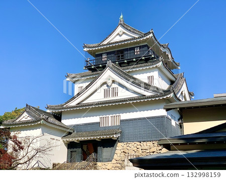 Looking up at the Okazaki Castle tower against the clear blue autumn sky (Okazaki Castle Park/Okazaki City, Aichi Prefecture) Looking up at the Okazaki Castle tower against the clear blue autumn sky (Okazaki Castle Park/Okazaki City, Aichi Prefecture) 132998159