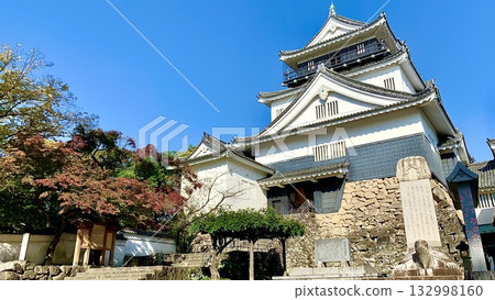 Looking up at the Okazaki Castle tower against the clear blue autumn sky (Okazaki Castle Park/Okazaki City, Aichi Prefecture) 132998160