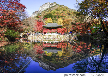 Korean temples colored with autumn leaves. Korean temples colored with autumn leaves. 132998200