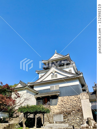 仰望秋天晴朗的藍天映襯下的岡崎城天守閣（岡崎城公園/愛知縣岡崎市） 132998319