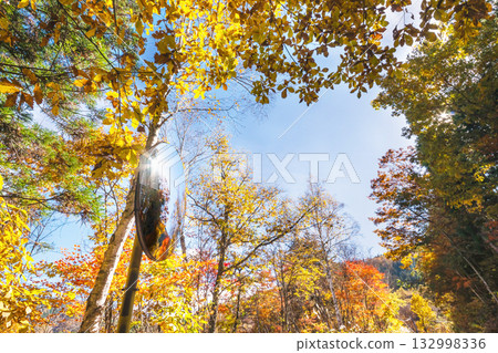 251106 Norikura Youth House s014 132998336