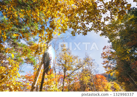 251106 Norikura Youth House s015 132998337