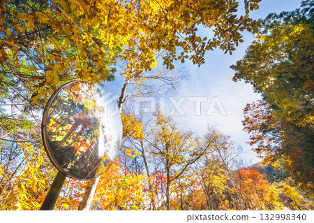 251106乘倉青年之家s021 251106乘倉青年之家s021 132998340