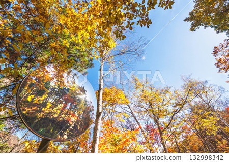 251106乘倉青年之家s025 132998342