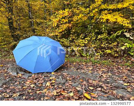 A blue umbrella rests on a rocky path surrounded by colorful autumn leaves and trees with yellow foliage. The scene captures the essence of fall, copy space A blue umbrella rests on a rocky path surrounded by colorful autumn leaves and trees with yellow foliage. The scene captures the essence of fall, copy space 132998577