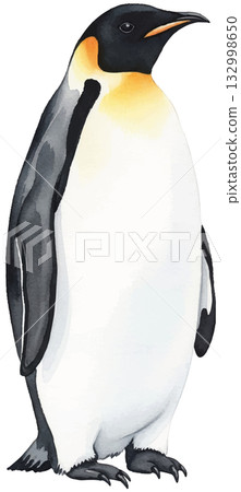 Penetration Penguin 132998650