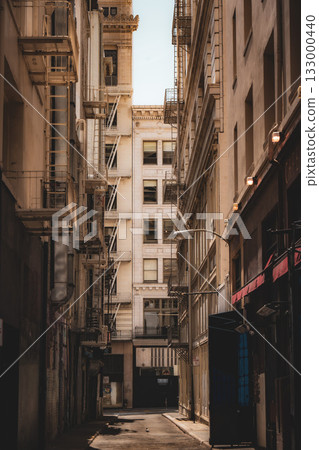 Cityscape of San Francisco, USA 133000440