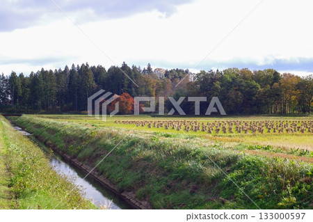 用日本稻田製作的稻草三角帽 用日本稻田製作的稻草三角帽 133000597