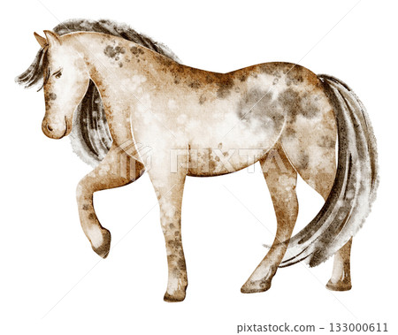 Horse watercolor illustration. Standing animal, isolated on white for poster or study. Equine mammal image for design, zoo, or livestock theme. 133000611