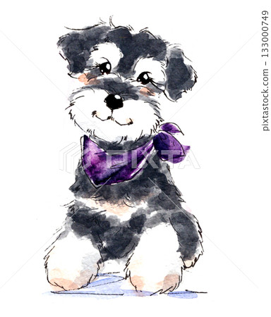 Miniature schnauzer wearing a purple scarf watercolor illustration 133000749