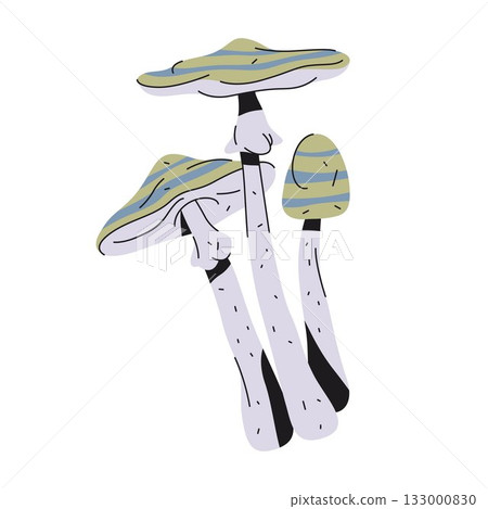 Blue oyster mushroom or hiratake, pearl fungus. Vector autumn pleurotus ostreatus. Forest and woodland tree species. Fungi growth icon for study. Mycology and forage element. Biology and botany 133000830