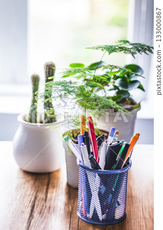 An eco-friendly office with indoor plants 133000867