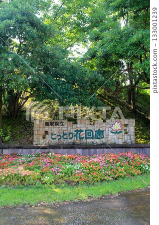 Tottori Prefectural Flower Corridor 133001239