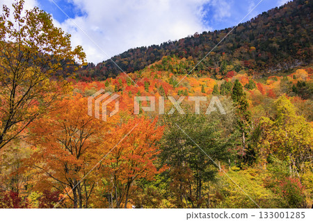 Shomyo Falls at its best when the autumn leaves are in full bloom 133001285