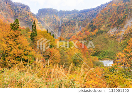 Shomyo Falls at its best when the autumn leaves are in full bloom Shomyo Falls at its best when the autumn leaves are in full bloom 133001300